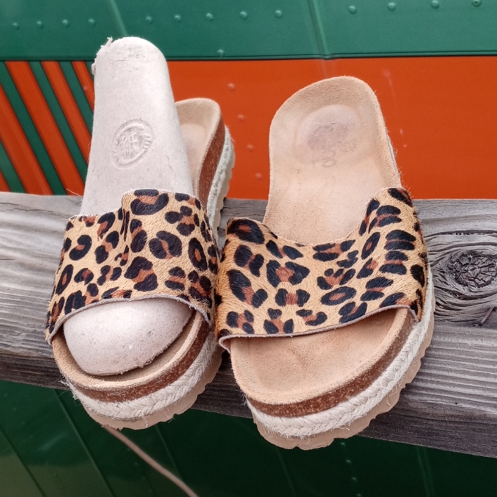 Cheatah Mohar slides